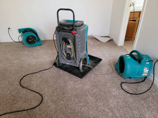Best Sewage cleanup and water damage restoration  in Athens, TX