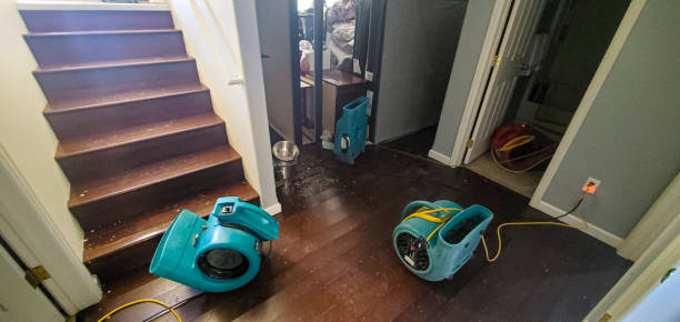 Best Fire Damage Restoration  in Athens, TX