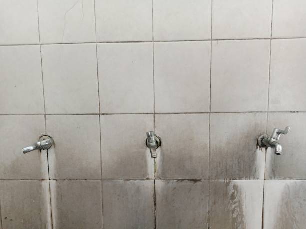 Best Emergency water damage restoration  in Athens, TX