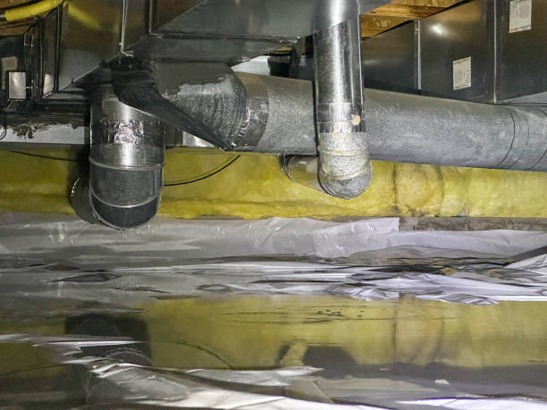 Best Water damage restoration services  in Athens, TX