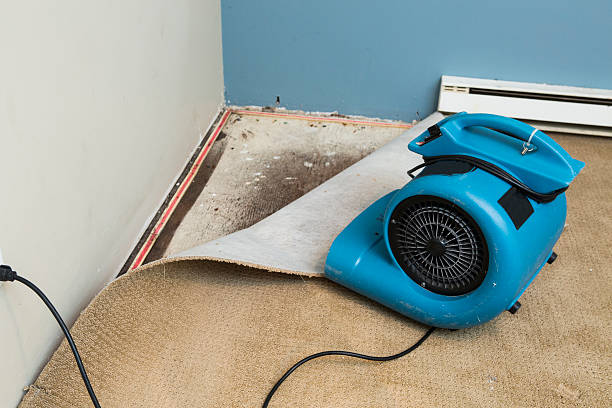 Best Fire Damage Restoration  in Athens, TX